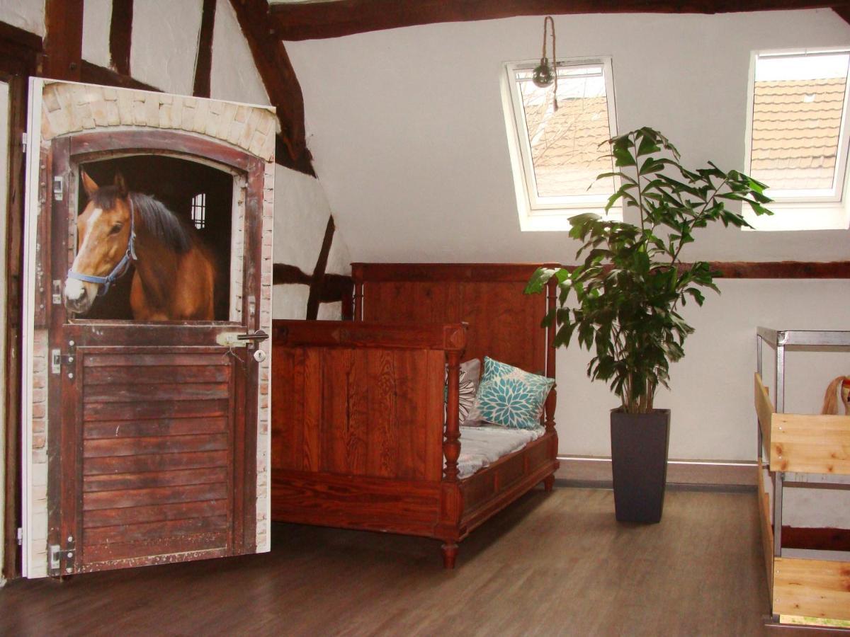 צולפיך Cottage Huehnerstall מראה חיצוני תמונה
