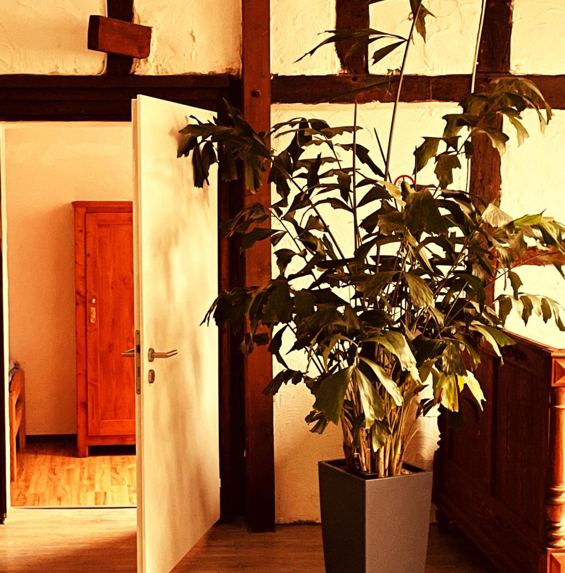 צולפיך Cottage Huehnerstall מראה חיצוני תמונה